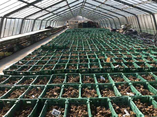 Bildimport-IP11ProMax 838